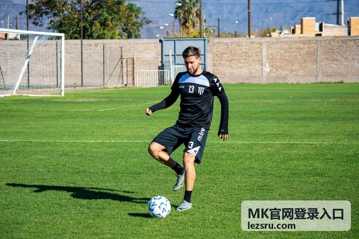 MK官网登录入口安全仪表盘界面